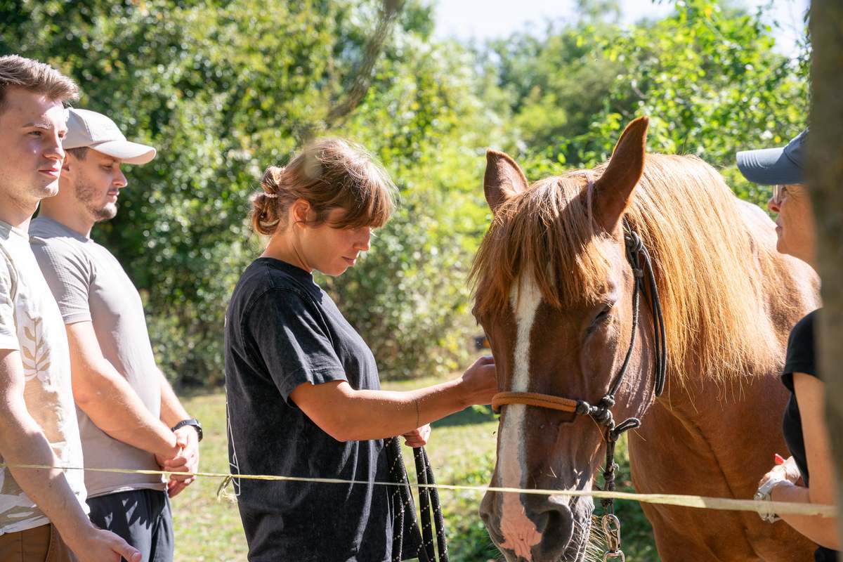 Účastníci pracují s koněm ze země na Farmě Hůrka